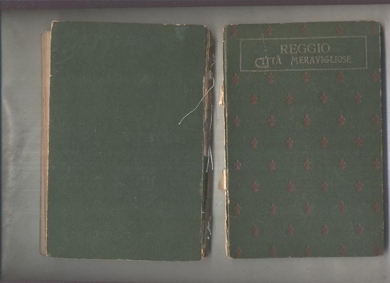 Biblioteca del Ragazzi numero 27: Il libro delle citta meravigliose