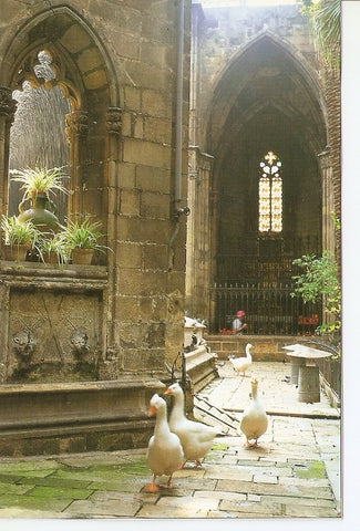 Postal 020028 : Claustro de la Catedral. Barcelona