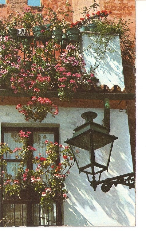 Postal 020040 : Barrio de Santa Cruz. Sevilla