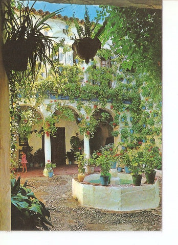 Postal 020108 : Patio tipico Cordoba