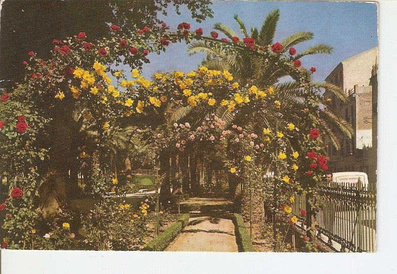 Postal 020129 : Jardin de Floridablanca - Murcia