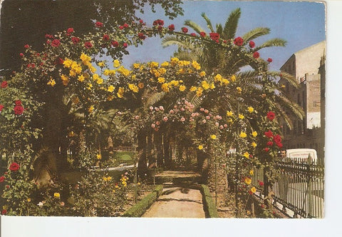 Postal 020129 : Jardin de Floridablanca - Murcia