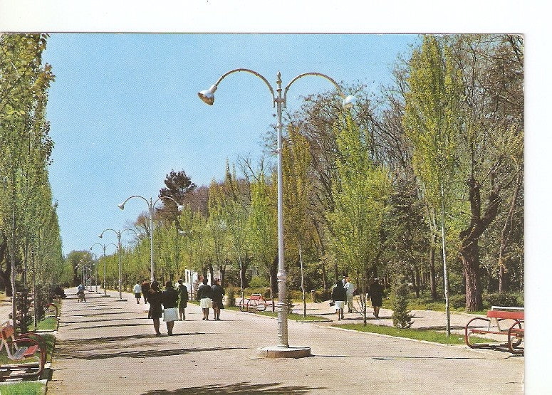 Postal 020154 : Paseo principal parque de Ciudad Rfeal