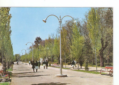 Postal 020154 : Paseo principal parque de Ciudad Rfeal