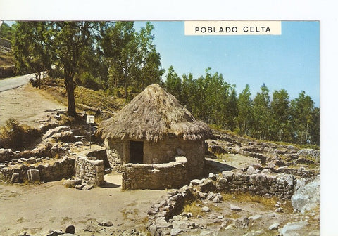 Postal 020200 : Monte de Santa Tecla. Poblado Celta