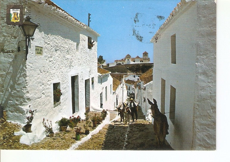 Postal 020237 : Calle del Pinar Mijas - Costa del Sol