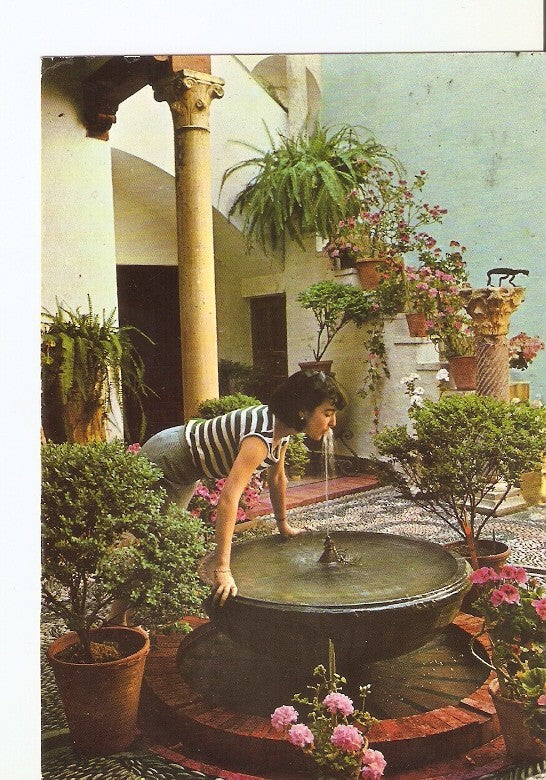 Postal 020296 : Patio tipico Cordoba