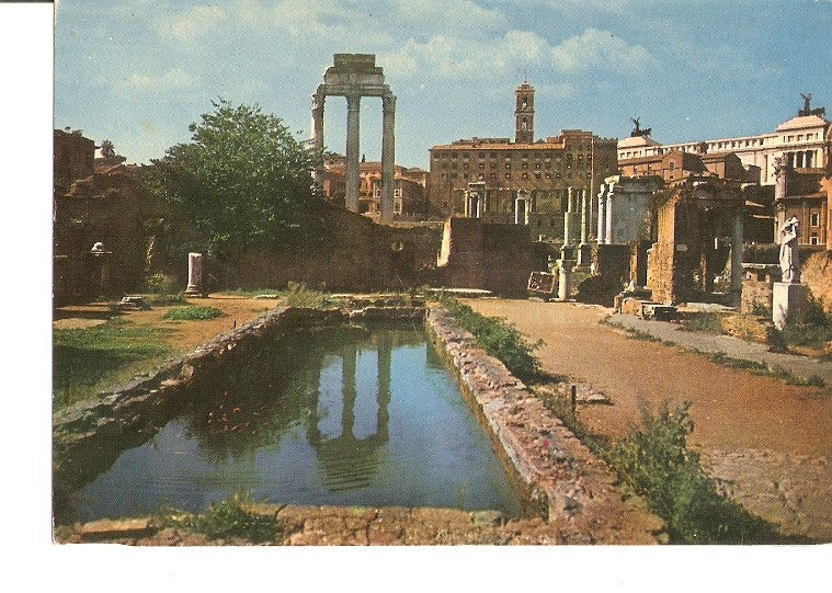 Postal 020338 : Foro Romano - Roma