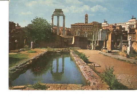 Postal 020338 : Foro Romano - Roma