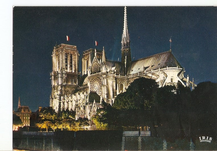 Postal 020430 : Notre-Dame illuminee - Paris