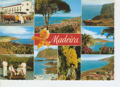 Postal 020485 : The best view of Madeira