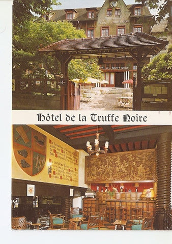 Postal 020552 : Hotel de la Truffe Noire. Brive  Correze - France