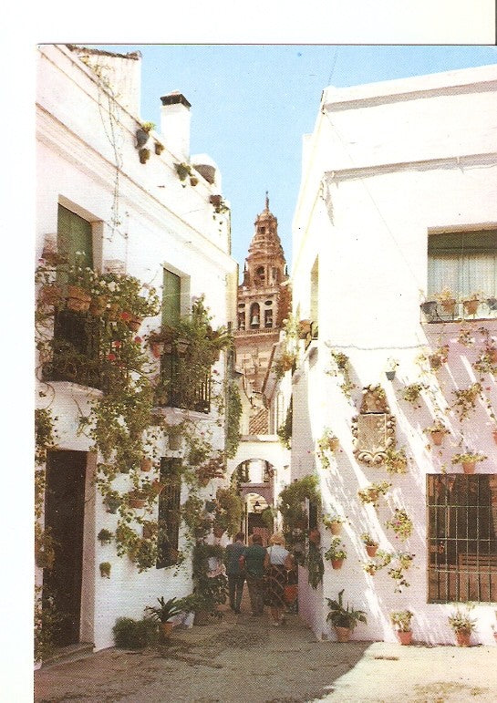 Postal 020592 : Calleja de las Flores - Cordoba