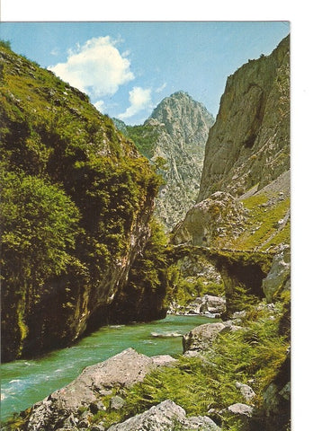 Postal 020600 : Puente de Jaya sobre el rio Cares - Picos de Europa