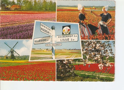 Postal 020746 : Holland in Blumenschmuck