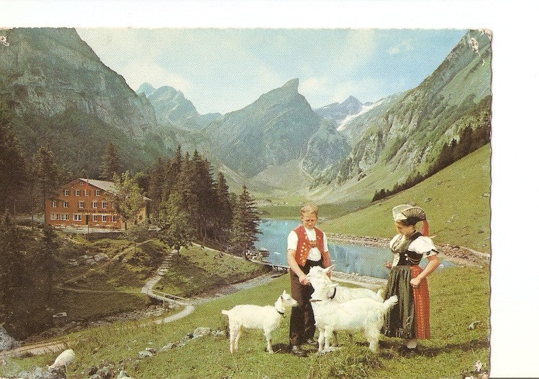 Postal 020747 : Im Alpstein - Schweiz. Montaña de Sentis