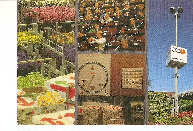 Postal 020836 : Bloemen Veiling Westlan