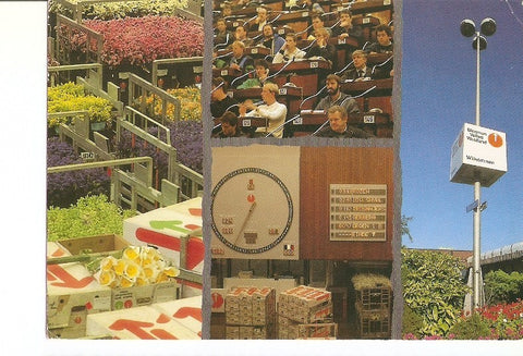 Postal 020836 : Bloemen Veiling Westlan