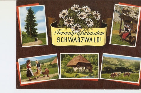 Postal 020839 : Schwarzwald