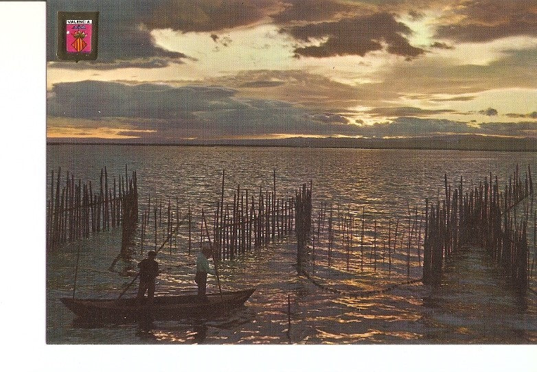 Postal 020896 : Puerta del Sol, La albufera - Valencia