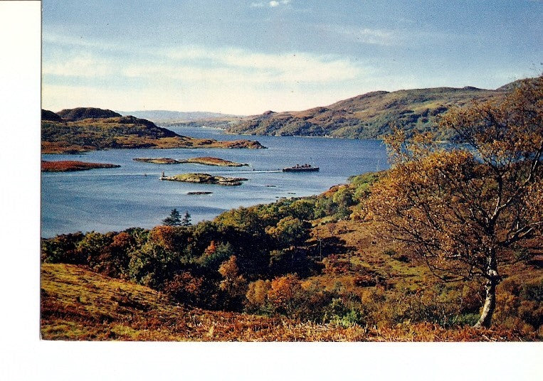 Postal 021156 : The kyles of Bute, Scotland