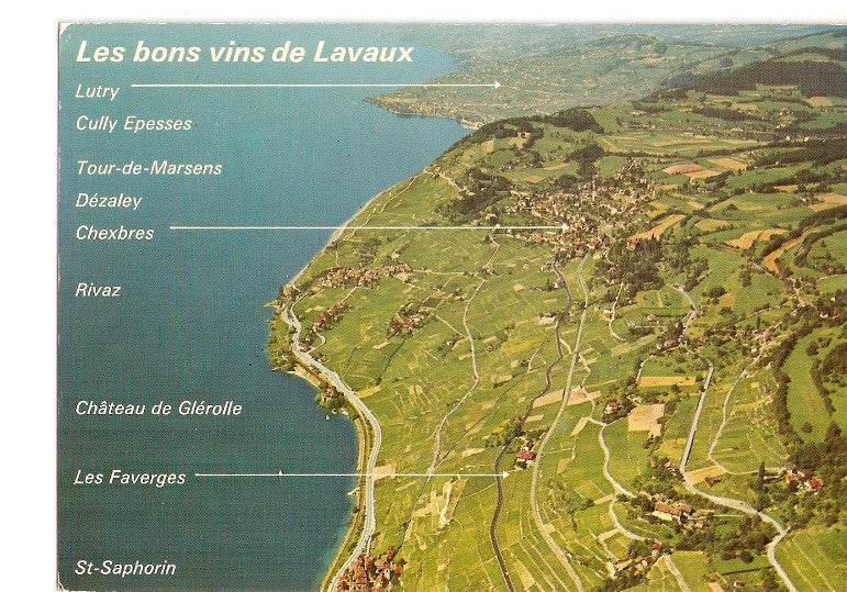 Postal 021160 : Les coteaux de Lavaux entre Lausanne et Vevey - Suisse