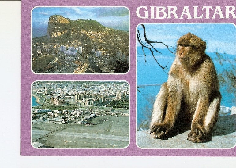 Postal 021162 : Diversas vistas, Gibraltar