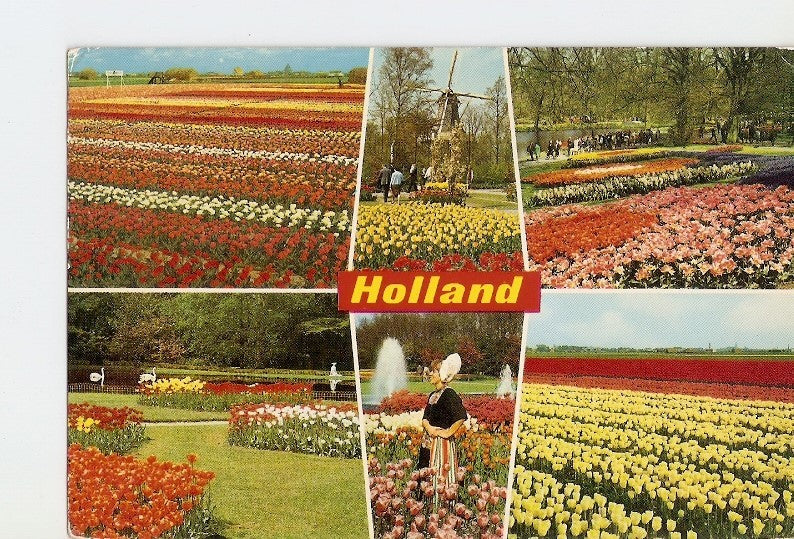 Postal 021163 : Hooland in bloementooi