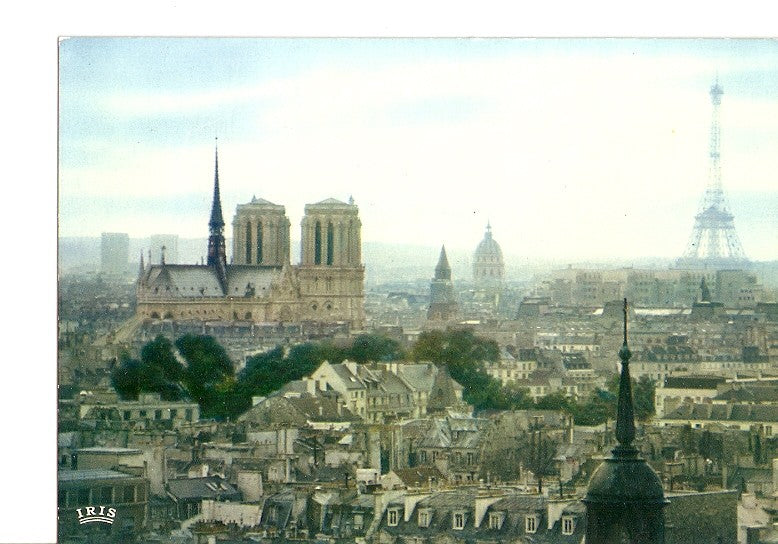 Postal 021260 : Panorama Note-Dame (Paris)