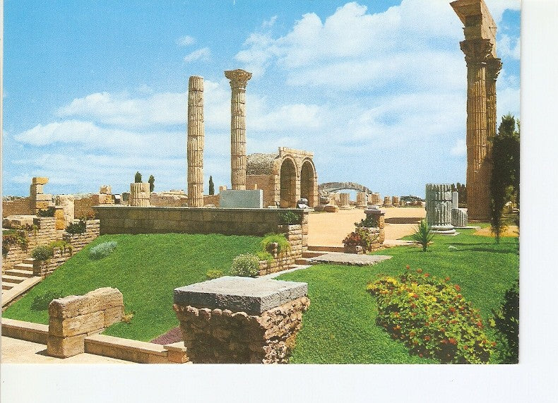 Postal 021543 : Foro Romano   