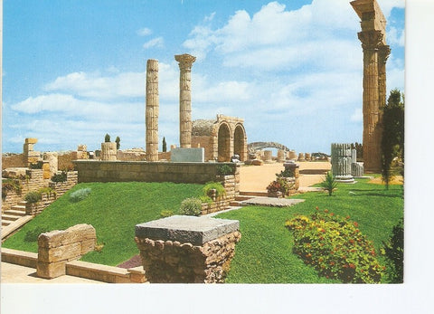 Postal 021543 : Foro Romano   