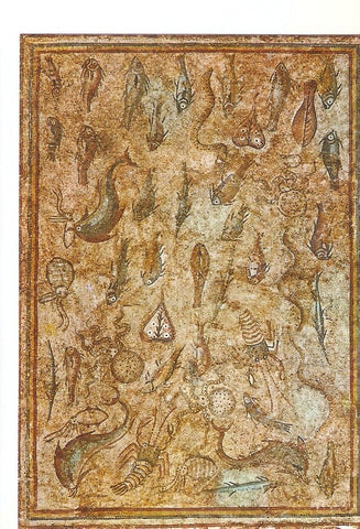 Postal 021692 : Mosaico con Peces. Costa Dorada - Tarragona