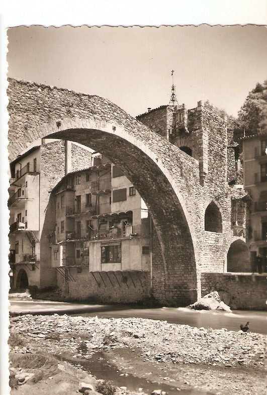 Postal 021823 : Puente sobre el Ter, Camprodon