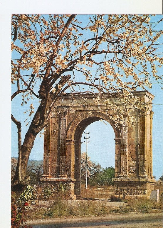 Postal 021850 : Arco de Bara. Costa Dorada - Tarragona