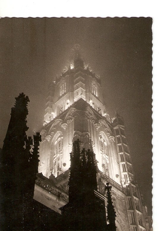 Postal 022021 : Berner Münster in Fesbeleuchtung