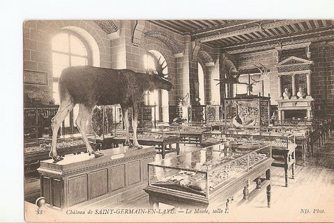 Postal 022194 : Le Musee, salle I