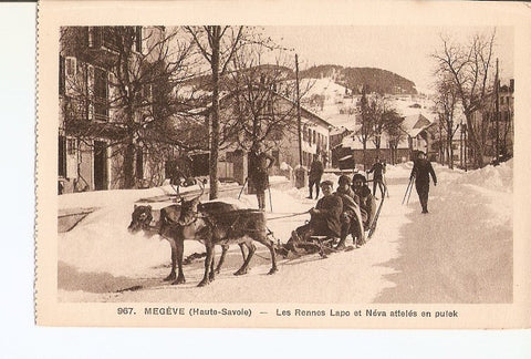 Postal 022205 : Megeve (Haute-Savoie) - Les Rennes Lapo et Neva atteles en pulek