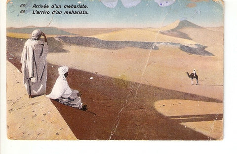 Postal 022337 : Postal coloreada. Arrivee dun mehariste