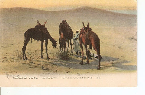 Postal 022370 : Pintura. Dans le Desert. - Charmeaud mangeant le Drin