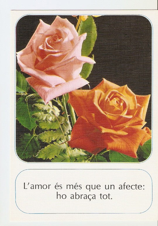 Postal 022399 : Flores
