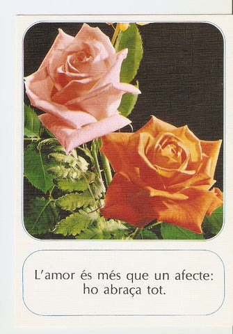 Postal 022399 : Flores