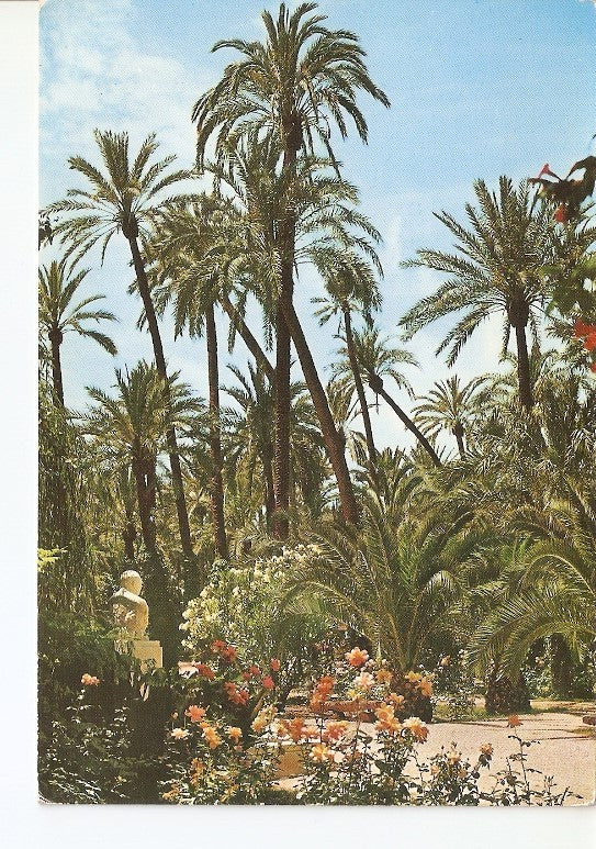 Postal 022413 : Parque Municipa, detalle del jardin, Elche