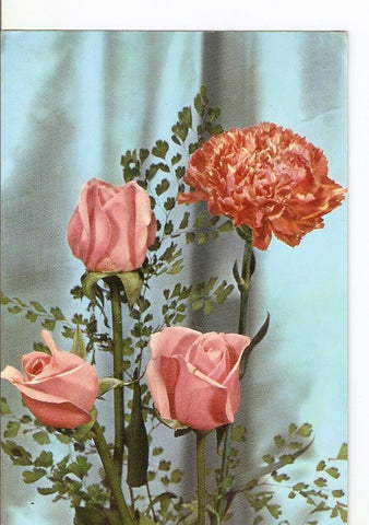 Postal 022430 : Flores