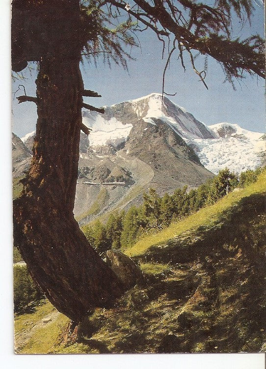 Postal 022439 : Arolla, Valais, le Pigne dArolla