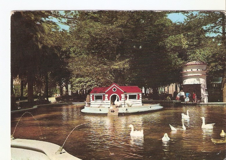Postal 022586 : Estanque del Parque, Pontevedra
