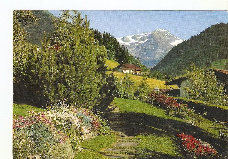 Postal 022588 : Gstaad, Wildhorn