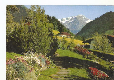 Postal 022588 : Gstaad, Wildhorn