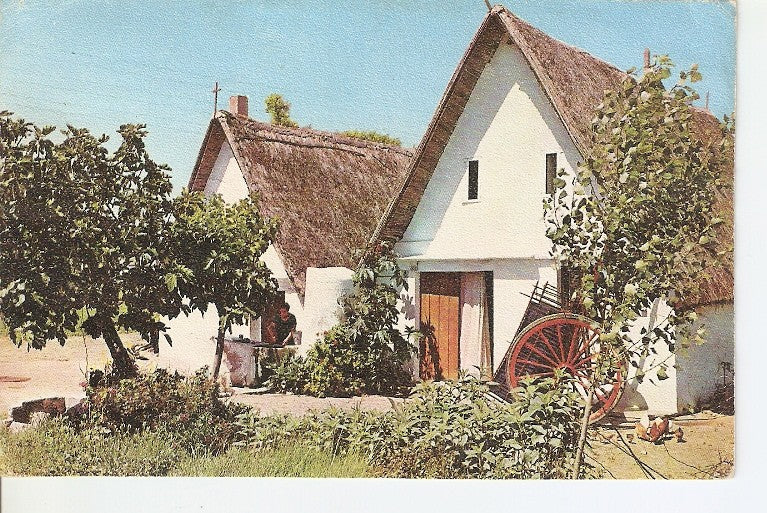Postal 022652 : Valencia, les barraques