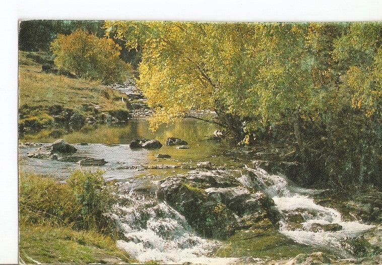 Postal 022657 : postal paisaje, arroyo