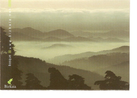 Postal 022670 : Bosque